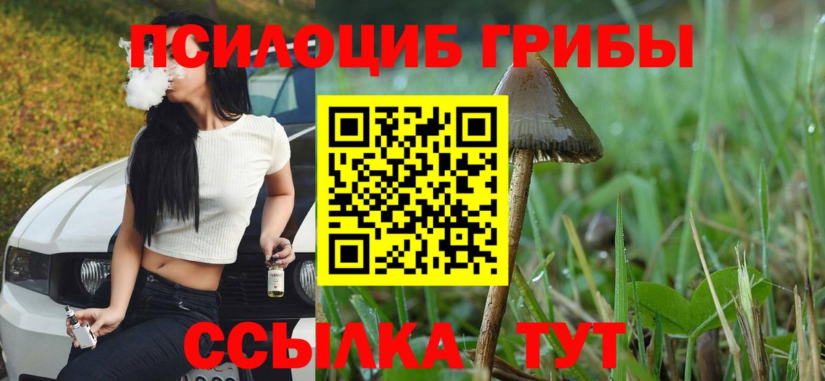 Ялта  Галлюциногенные грибы мухоморы  Вход с VPN 